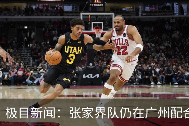 极目新闻：张家界队仍在广州配合调查，警方和多个主管部门已介入